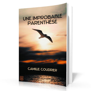 Une improbable parenthèse (Camille Coudrier)